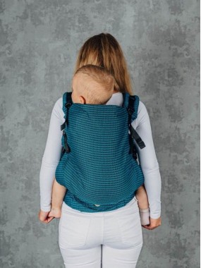 LennyPreschool nešioklė 1–5 metų vaikams