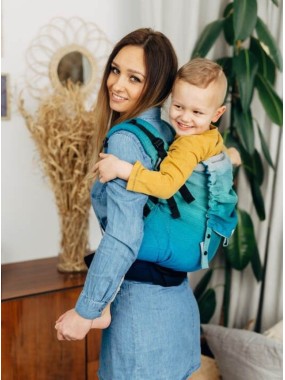 LennyPreschool carrier for toddlers and preschoolers