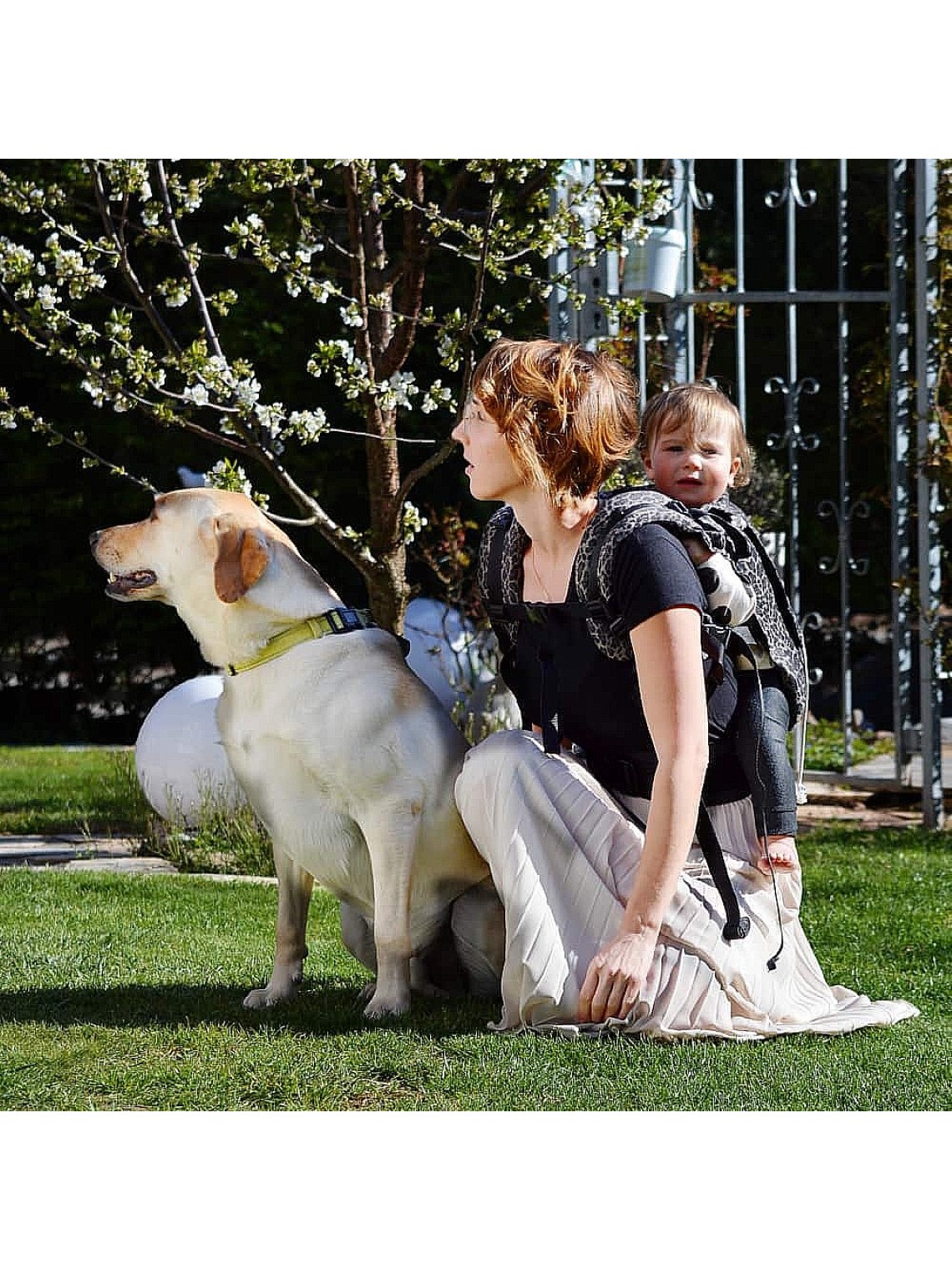 Didymos DidySnap 4u baby carrier – ergonomic from newborn to toddler