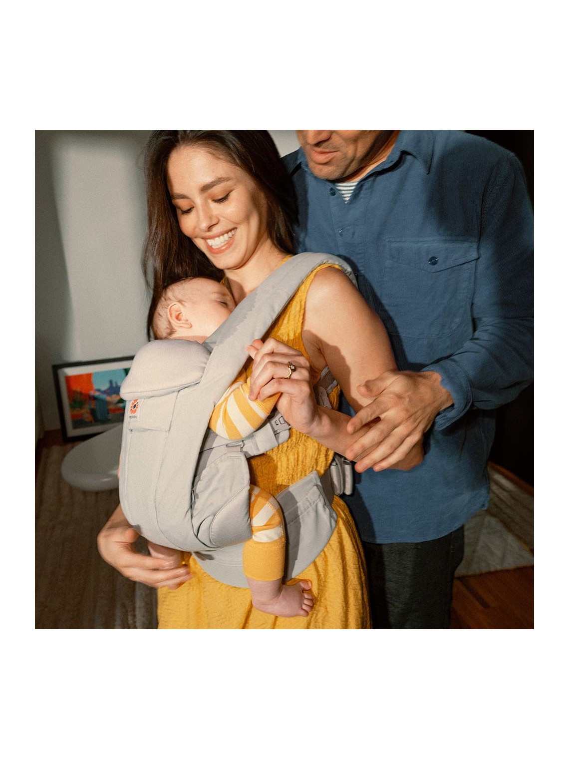 Ergobaby Omni Deluxe Baby Carrier