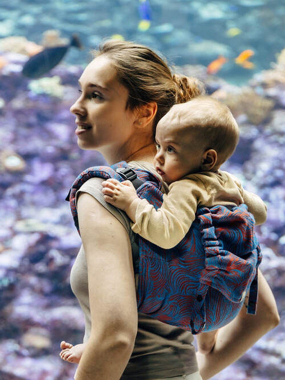 Lenny Buckle Onbuhimo PRO, Toddler, jacquard, (100% cotton) - RAPUNZEL - SWIRL